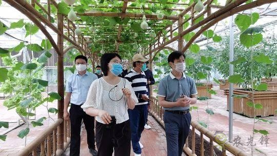 四川瀘州現(xiàn)代農(nóng)業(yè):農(nóng)旅項目