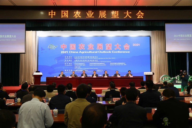 2021中國農(nóng)業(yè)展望大會(huì)發(fā)布未來十年農(nóng)產(chǎn)品供給變化預(yù)測