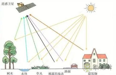 中國遙感衛星再添新成員 看TA在太空如何對農作物“稱斤計兩”?