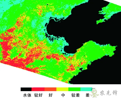 中國遙感衛星再添新成員 看TA在太空如何對農作物“稱斤計兩”?