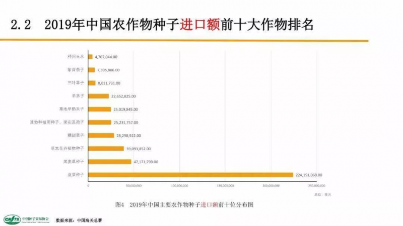 中國每年進口7萬噸“洋種子”:14億人的飯碗,能端穩(wěn)嗎?