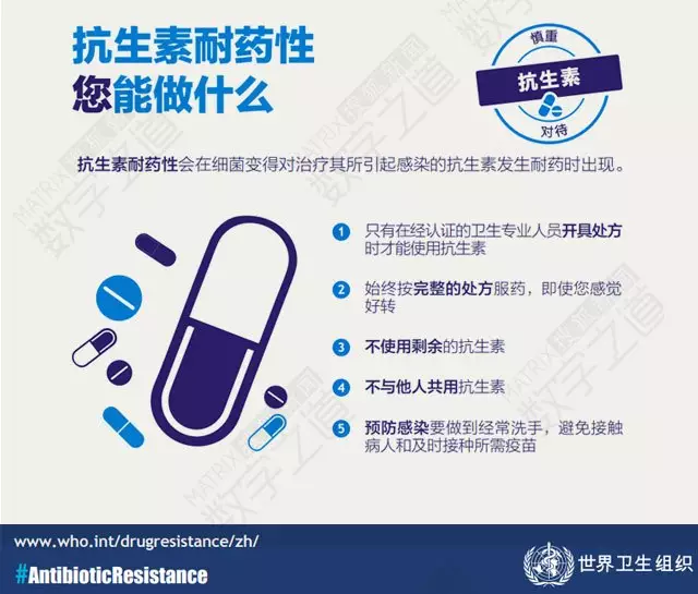 “抗生素肉”擺滿中國人餐桌,豬肉含量居然是牛肉的5倍!