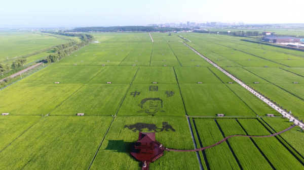 趙春江院士:解決農村勞動力短缺,北京可發展無人化農場