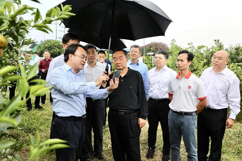 唐仁健:做大做強特色產業,扎實推進鄉村建設