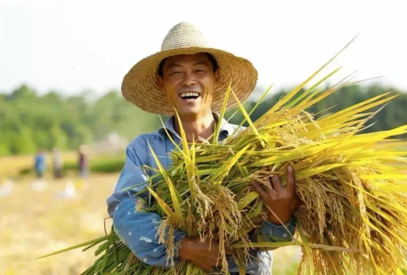 鄉村振興缺人才,加強推進人才走進鄉村