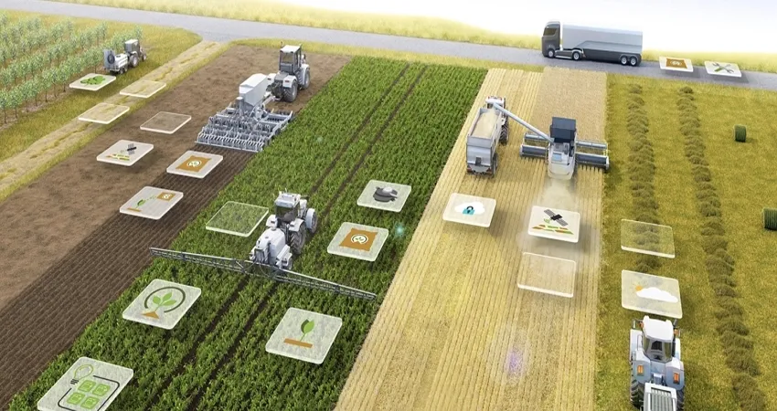 人民論壇：農業(yè)品牌如何實現數字化轉型？