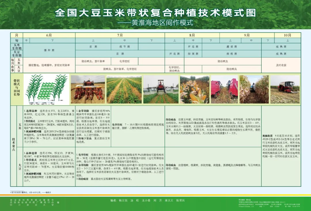 玉米大豆長(zhǎng)期發(fā)展趨勢(shì)！大豆自產(chǎn)量可增三倍，利潤(rùn)翻倍！