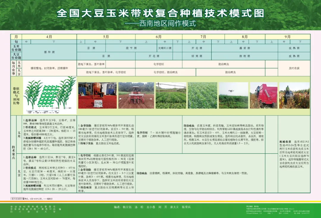 玉米大豆長(zhǎng)期發(fā)展趨勢(shì)！大豆自產(chǎn)量可增三倍，利潤(rùn)翻倍！