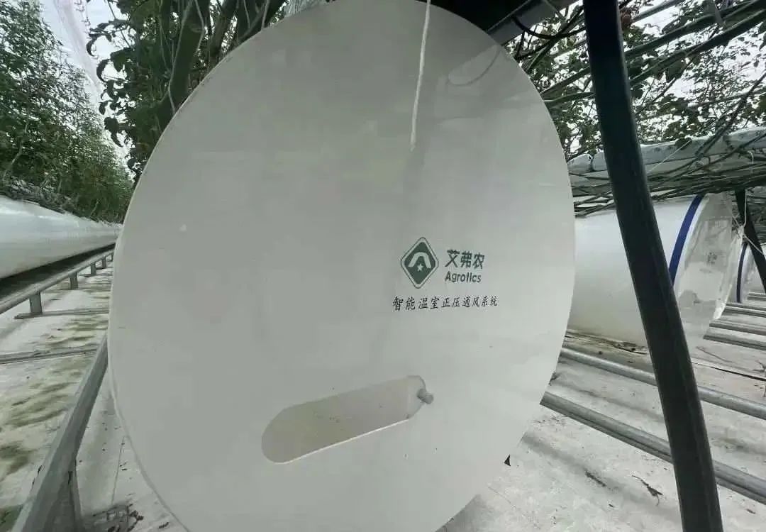 棚內28攝氏度！嘉興這里的數字農業車間很“清涼”