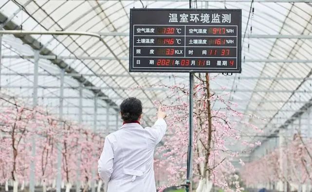 未來農(nóng)業(yè)10大科技趨勢和創(chuàng)新、亮點(diǎn)